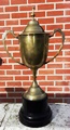 Junior Grade Teams Trophy